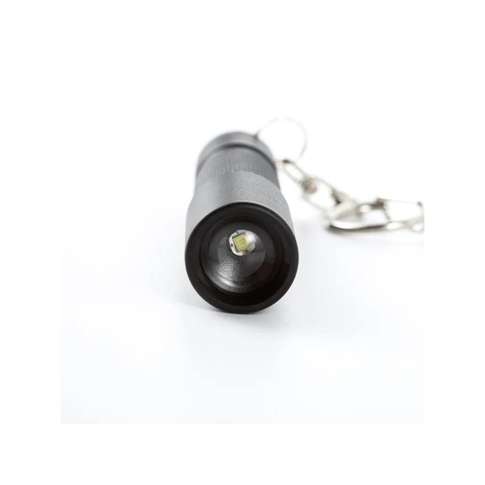 LED Torch Shop Focusable Spot to Flood AAA Keychain Torch